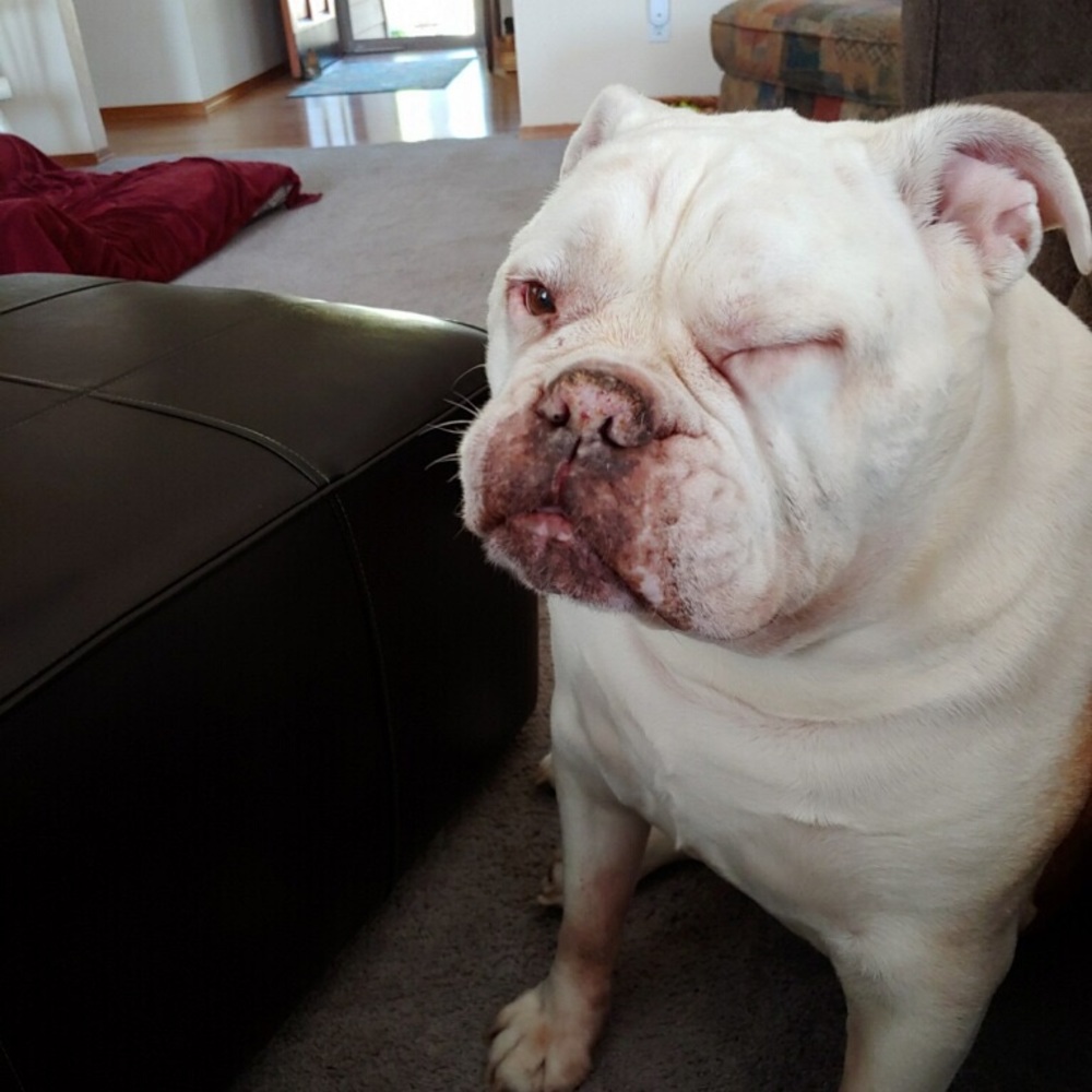 Meet your Posher, Christian